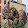 Marty Fischlin Marty Fischlin's profile photo