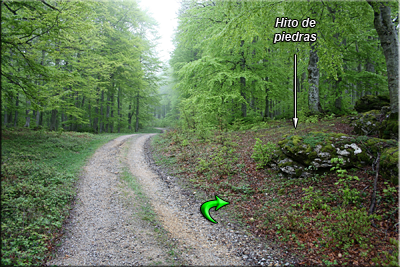 Desvío/Hito de piedras Desvío/Hito de piedras