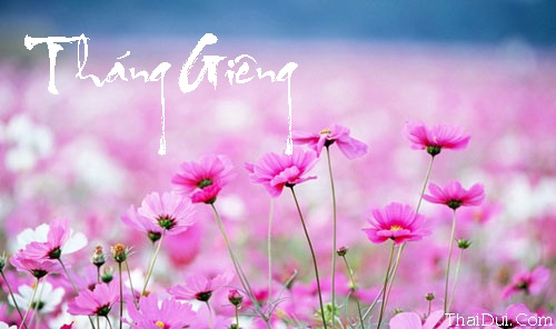 Những bài thơ tình Tháng Giêng hay, buồn, lãng mạn nhất Những bài thơ tình Tháng Giêng hay, buồn, lãng mạn nhất