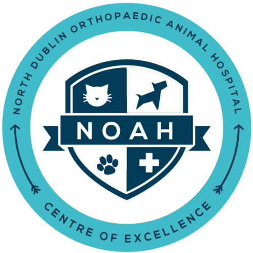 NOAH (North Dublin Orthopaedic Animal Hospital) logo