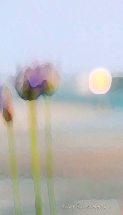 BeingRuby-BeachBlooms-0097-3-2.jpg