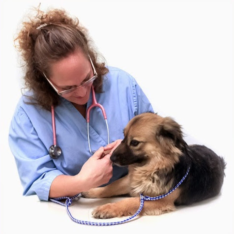 Santa Cruz Veterinary Clinic logo