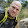 Ofir Ramirez-Rios Ofir Ramirez-Rios's profile photo