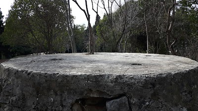 Photos of Park Mladosti (Turska kula)