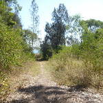 Track close to Green Point on Lake Macquarie (403081)