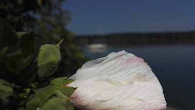 Photos of Trap&eacute;z Kultikocsma