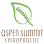 Aspen Summit Chiropractic - Pet Food Store in Mapleton Utah