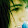 DougCaraffini DougCaraffini's profile photo
