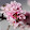 Franca Cutilli Franca Cutilli's profile photo