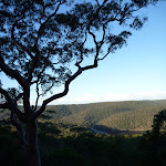 View from the Viewpoint off Mt Kuring-gai Track (422419)