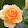 alysa duran alysa duran's profile photo