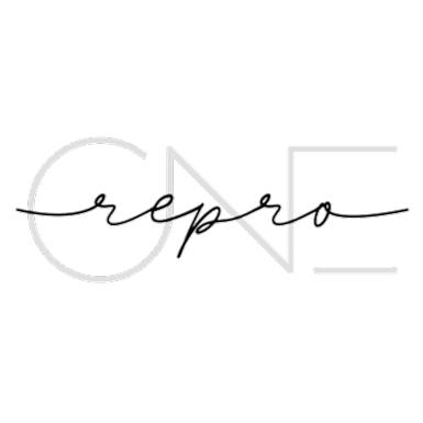 Repro One - Idee | Design | Druck logo