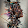 Oli Quiñones Rojas Oli Quiñones Rojas's profile photo