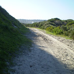 Sandy track near Maroubra Bay and Beach (18282)