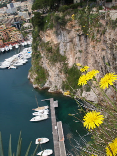 Port de Fontvieille