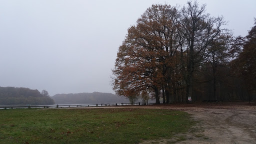 Étang de la Tour