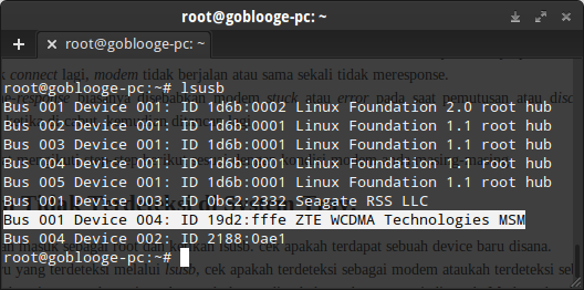 Device Modem yang terdeteksi dengan benar tampak disana Modem ZTE WCDMA dengan vendor ID 19d2 dan Product ID fffe