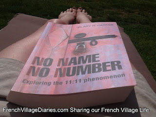 french village diaries book worm wednesday review No Name No Number by Hilary H Carter 11:11 phenomenon 