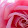 Thanneeru Sasi Thanneeru Sasi's profile photo