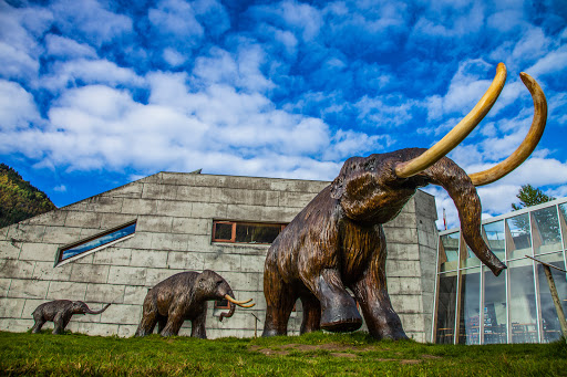 Glacier Museum
