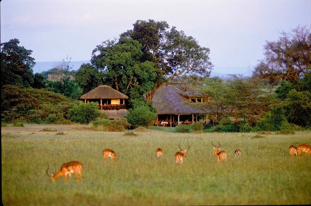 Maasai Mara - Férias no Quénia