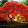 Chris Ziesler Chris Ziesler's profile photo
