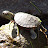 Christopher Meier avatar image