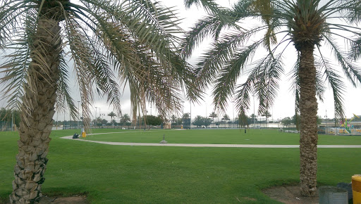 Photos of Al Muwaiji