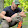 Dan Volkens Dan Volkens's profile photo