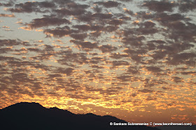 Vivid and Vibrant Evening Sky at Kaziranga - 8