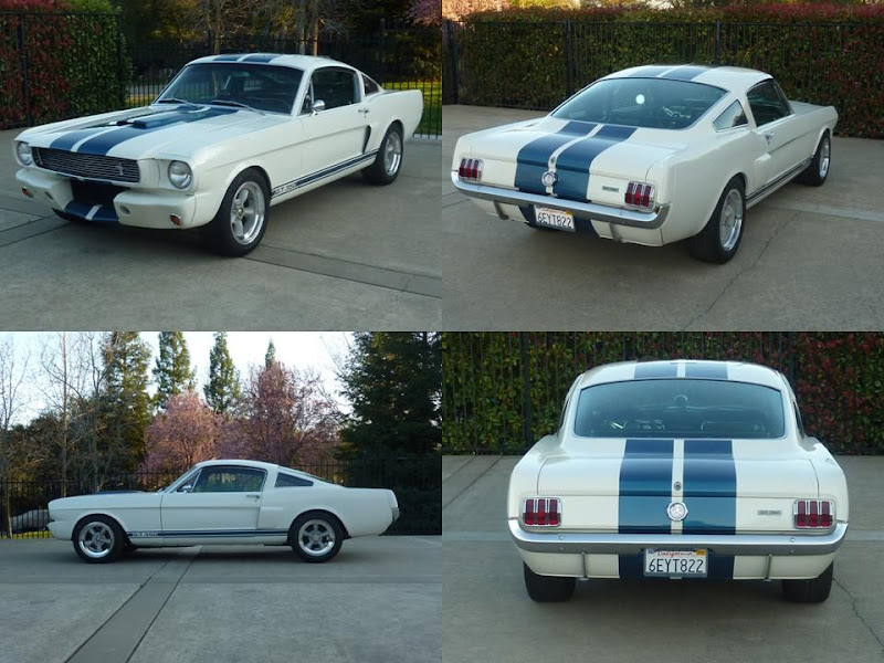 2015 Ford Edge For Sale >> stencil for painting 66 GT350 side stripes - MustangForums.com 2015 Ford Edge For Sale >> stencil for painting 66 GT350 side stripes - MustangForums.com