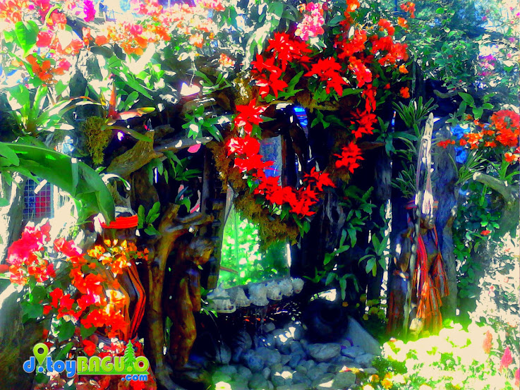 2013 Panagbenga Flower Festival Landscaping picture 25
