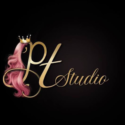 Pink Touch Studio logo
