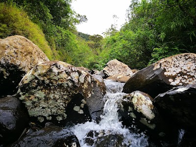 Photos of Alexandra Falls Hiking Trail