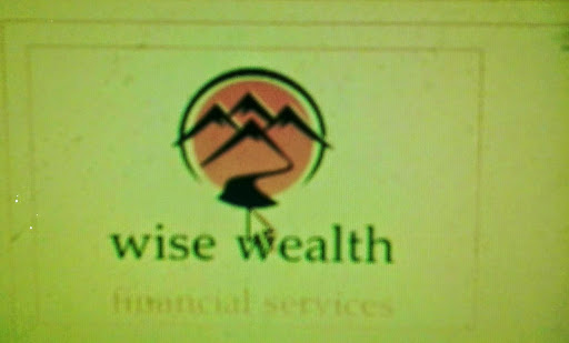 Wise Wealth, 32, Nachiappa St, Madhavaperumalpuram, chennai, Chennai, Tamil Nadu 600004, India, Investment_Service, state TN