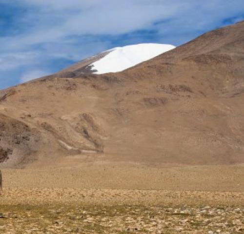Jandk Plans To Harness Solar Potential In Ladakh
