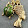 Paris Hiltontwin Paris Hiltontwin's profile photo