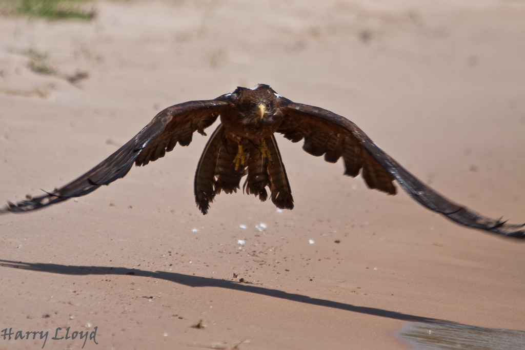 IMAGE: https://lh4.googleusercontent.com/-OYnk3k4OKAM/UD2Z4o7IVvI/AAAAAAAAMCY/kd_8guwvNyw/s1024/IMG_1684.jpg