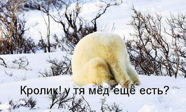 Ни дня без улыбки. Будет и на нашем кладбище праздник! Ни дня без улыбки. Будет и на нашем кладбище праздник!