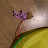 Chris Scott avatar image