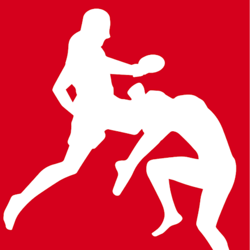 Point of Impact MMA logo