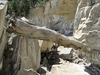 Log jammed between a boulder and the canyon wall