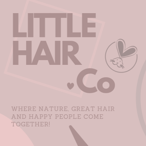 Little Hair Co logo
