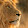 Larry Rocha Larry Rocha's profile photo