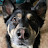 Jack Sepulveda avatar image
