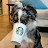 Daniel Huang avatar image