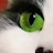 Kristi M avatar image