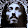 José Fernando Barreto Muniz José Fernando Barreto Muniz's profile photo