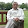 Gopal Shastry Gopal Shastry's profile photo