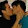สวัสดี ปีไหม่ สวัสดี ปีไหม่'s profile photo